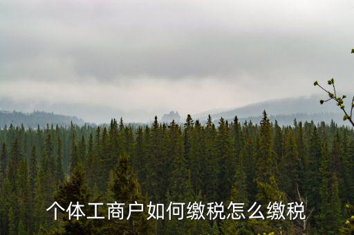 福建企業(yè)如何繳稅，企業(yè)所得稅是多少