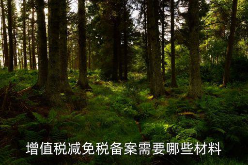 如何辦理納稅人減免稅備案登記，增值稅減免稅備案需要哪些材料