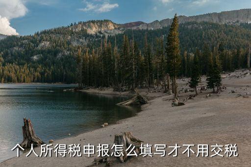 福建自然人個稅如何申報(bào)才不用繳稅，個稅專項(xiàng)附加扣除怎樣填寫才不繳稅