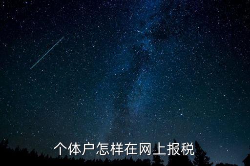 個(gè)體戶(hù)怎樣在網(wǎng)上報(bào)稅