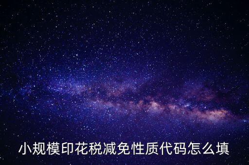 印花稅減免額 如何填寫，六稅兩費印花稅減半怎么申報