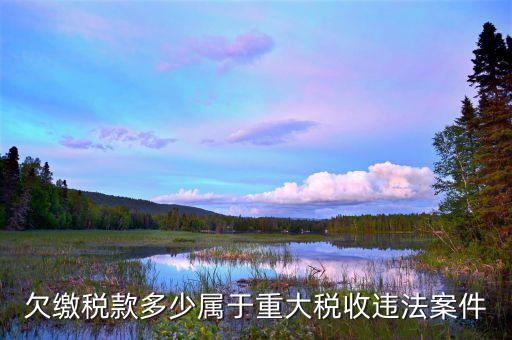 如何判定重大稅收違法案件，重大稅務(wù)案件范圍