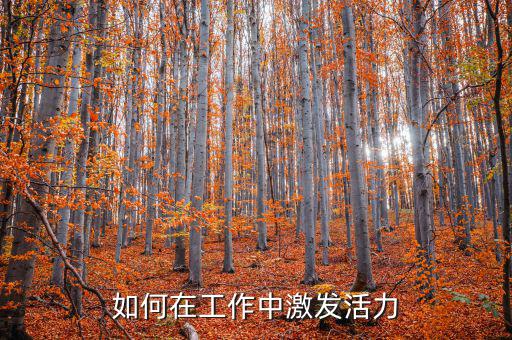 如何激發(fā)稅務干部的活力，在稅收工作中如何激發(fā)下屬的潛力