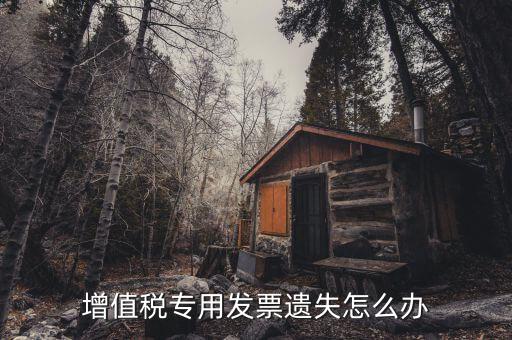 丟失專用發(fā)票如何，丟失空白增值稅專用發(fā)票如何處理