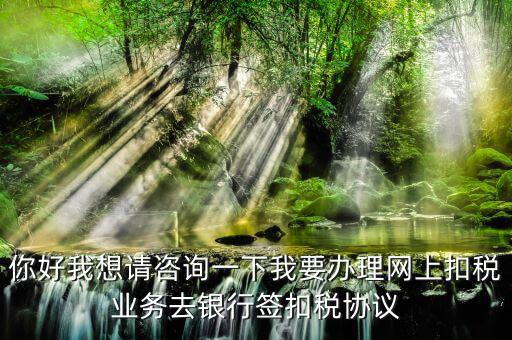 如何辦理稅庫銀，去稅務局辦理稅控盤需要什么資料流程怎么走呢
