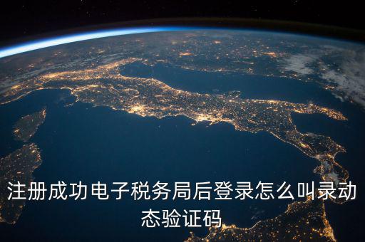 注冊成功電子稅務(wù)局后登錄怎么叫錄動態(tài)驗證碼