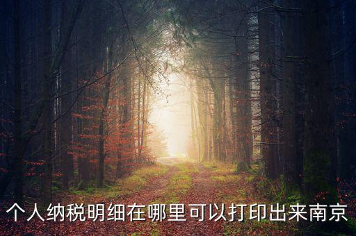 如何打印個(gè)稅明細(xì)，個(gè)人納稅明細(xì)在哪里可以打印出來南京