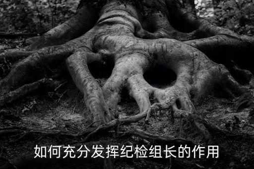 稅務(wù)局如何貫徹落實(shí)紀(jì)檢組長(zhǎng)的講話，如何充分發(fā)揮紀(jì)檢組長(zhǎng)的作用