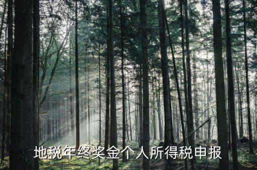 地方稅務局網(wǎng)上如何申報年終獎，網(wǎng)上報稅中年終獎怎么報怎么操作啊