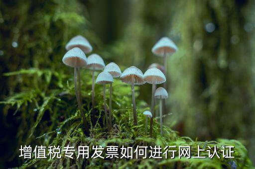 增值稅專票如何網(wǎng)上認證，增值稅專用發(fā)票如何進行網(wǎng)上認證