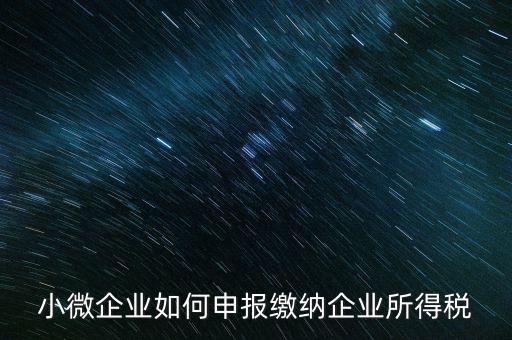 小企業(yè)如何繳納所得稅，小規(guī)模企業(yè)所得稅怎么交納