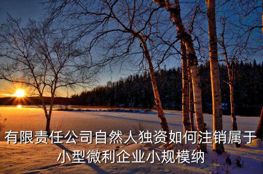 如何注銷小微企業(yè)所得稅，小微企業(yè)工商稅務(wù)注銷手續(xù)