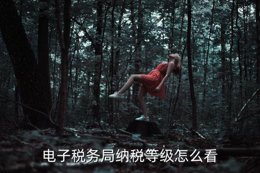 如何查詢納稅人納稅等級，電子稅務(wù)局納稅等級怎么看