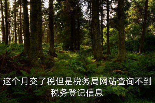 這個月交了稅但是稅務局網(wǎng)站查詢不到稅務登記信息
