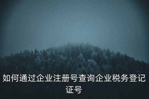 如何查詢公司稅務(wù)編號查詢系統(tǒng)，公司的稅務(wù)登記證號怎么查詢