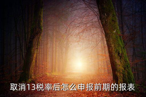 取消13稅率申報(bào)表如何填，13的稅率沒(méi)了納稅申報(bào)以后怎么辦