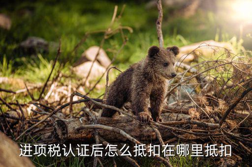 動(dòng)產(chǎn)進(jìn)項(xiàng)稅如何抵扣，進(jìn)項(xiàng)稅是怎么個(gè)抵扣法