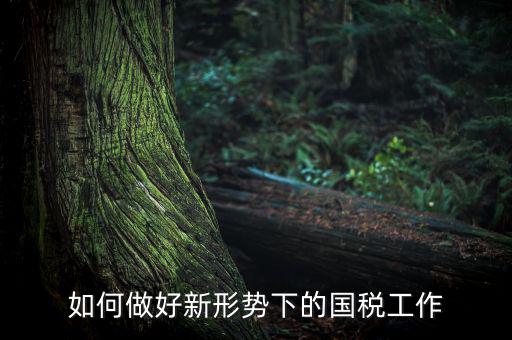 如何貫徹國稅工作會議上的講話，如何貫徹落實國稅系統(tǒng)化政府采購工作規(guī)范