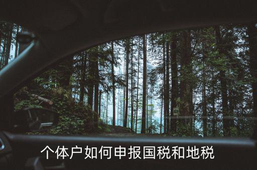 個(gè)體稅務(wù)登記地稅如何辦理，個(gè)體戶如何申報(bào)國(guó)稅和地稅