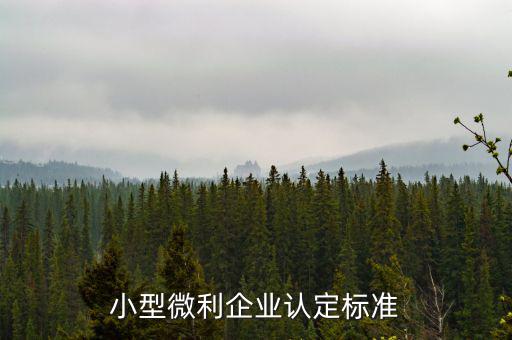 如何確定是小微企業(yè)，小型微利企業(yè)認(rèn)定標(biāo)準(zhǔn)