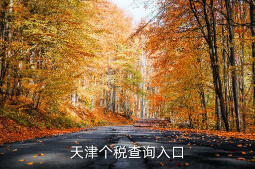 天津個稅如何查詢密碼，天津個稅查詢?nèi)肟?/></a></span><span id=