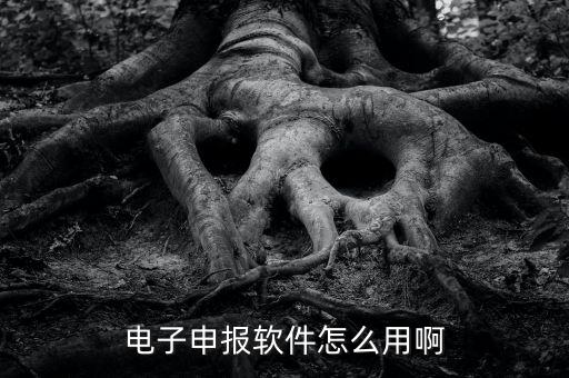 濟(jì)南電子稅務(wù)如何使用，網(wǎng)上辦稅平臺(tái)手機(jī)app怎么操作