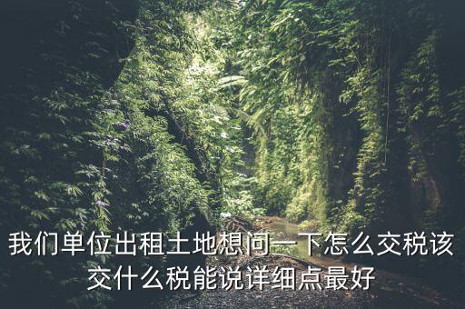 土地出租如何征稅，我們單位出租土地想問一下怎么交稅該交什么稅能說詳細(xì)點(diǎn)最好