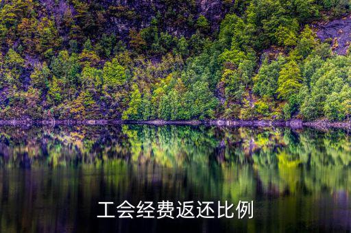 稅務(wù)局代收工會(huì)經(jīng)費(fèi)如何返還，工會(huì)經(jīng)費(fèi)交稅務(wù)局怎么返還