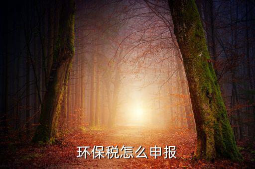 環(huán)境保護(hù)稅b類如何申報(bào)表，環(huán)保稅申報(bào)步驟是什么