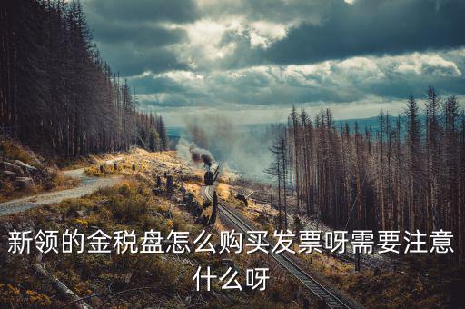 新公司如何購買金稅盤，新領(lǐng)的金稅盤怎么購買發(fā)票呀需要注意什么呀