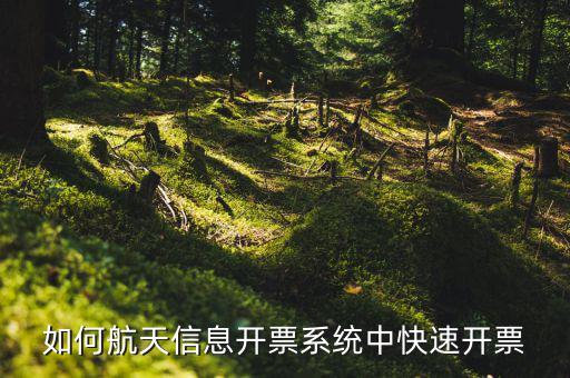 航天信息如何開票，怎么在航天信息開票軟件開紅字發(fā)票