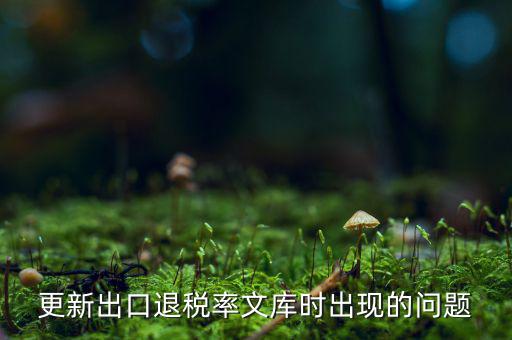 出口退稅文庫(kù)如何更新，請(qǐng)問(wèn)各位出口退稅系統(tǒng)里的代碼庫(kù)怎么更新啊怎么老沒(méi)反應(yīng)的呢