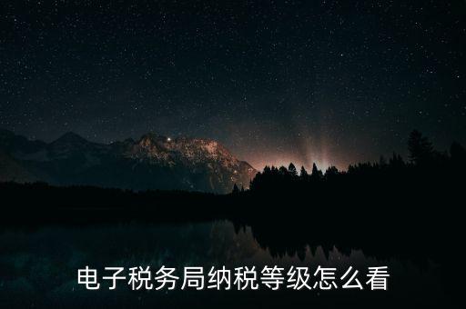 a級納稅人如何查詢，電子稅務(wù)局納稅等級怎么看
