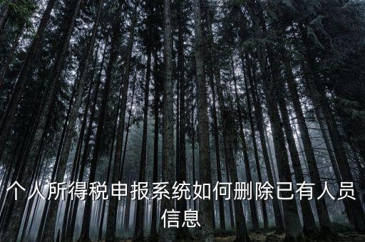 金三系統(tǒng)個(gè)稅申報(bào)人員如何刪除，如何刪掉個(gè)人所得稅人員信息