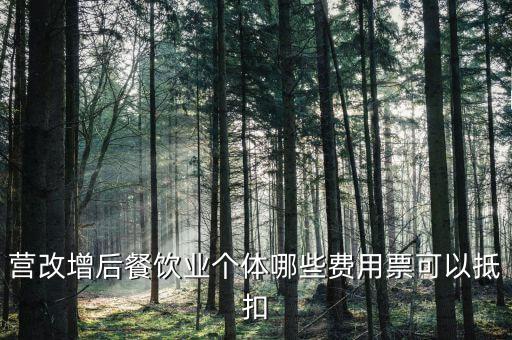 餐飲業(yè)如何抵扣，餐飲業(yè)無法向個人消費者開具增值稅專用發(fā)票那怎么抵扣進項稅
