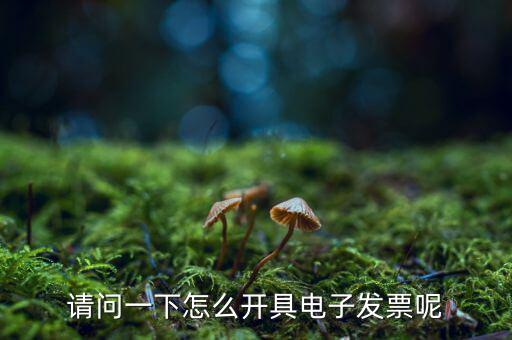 上海如何申領電子發(fā)票，請問一下怎么開具電子發(fā)票呢