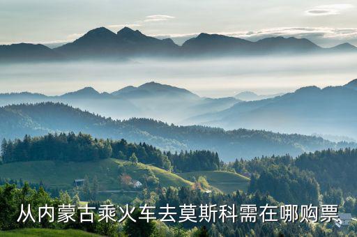 內(nèi)蒙古國(guó)稅聯(lián)合網(wǎng)廳如何購(gòu)票，從內(nèi)蒙古乘火車去莫斯科需在哪購(gòu)票