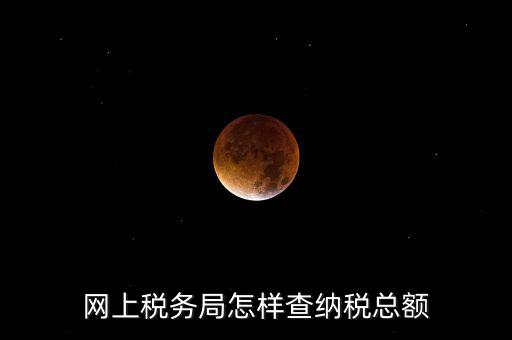國稅局如何查稅，網(wǎng)上稅務局怎樣查納稅總額