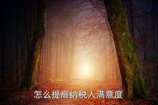 如何提升納稅人獲得感，怎么提高納稅人滿意度