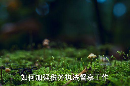 如何加強(qiáng)稅務(wù)系統(tǒng)巡視巡察，如何加強(qiáng)稅務(wù)執(zhí)法督察工作