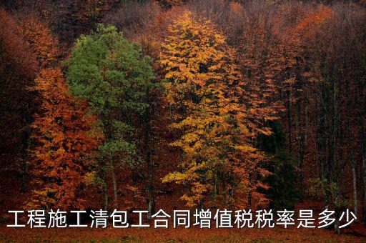 清包工 如何稅務(wù)，一般納稅人去國(guó)稅說(shuō)明是清包工怎么寫(xiě)說(shuō)明