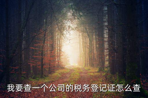 如何查企業(yè)的稅務(wù)登記證號(hào)，公司的稅務(wù)登記證號(hào)怎么查詢(xún)
