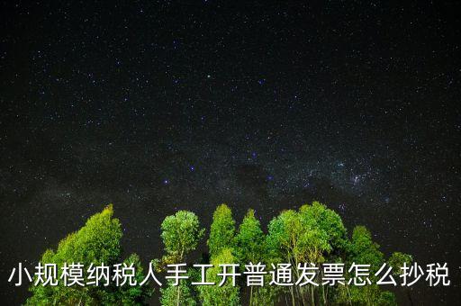 小規(guī)模納稅人開票系統(tǒng)如何抄報稅，小規(guī)模稅款控盤如何抄報稅