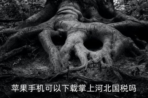 河北掌上國(guó)稅如何注冊(cè)，蘋果手機(jī)可以下載掌上河北國(guó)稅嗎