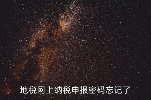 網(wǎng)報(bào)如何復(fù)制密碼，地稅網(wǎng)上納稅申報(bào)密碼忘記了