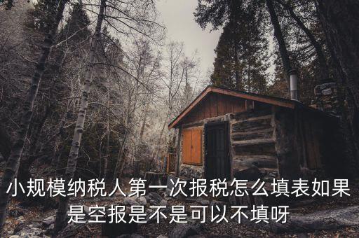 如何填寫首次辦稅補(bǔ)充信息表，稅務(wù)登記補(bǔ)充信息采集表怎么填 誰(shuí)知道啊