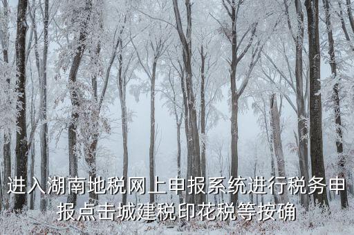 湖南省地稅局個人如何注冊，湖南地稅網(wǎng)上申報系統(tǒng)