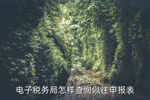 寧波地稅如何查往期申報信息，怎樣查看地稅網上申報記錄