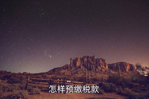 在電子稅務(wù)局網(wǎng)上如何預(yù)繳稅款，具體網(wǎng)上繳納稅款流程
