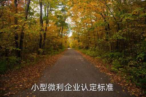 小型微利企業(yè)認定標(biāo)準(zhǔn)